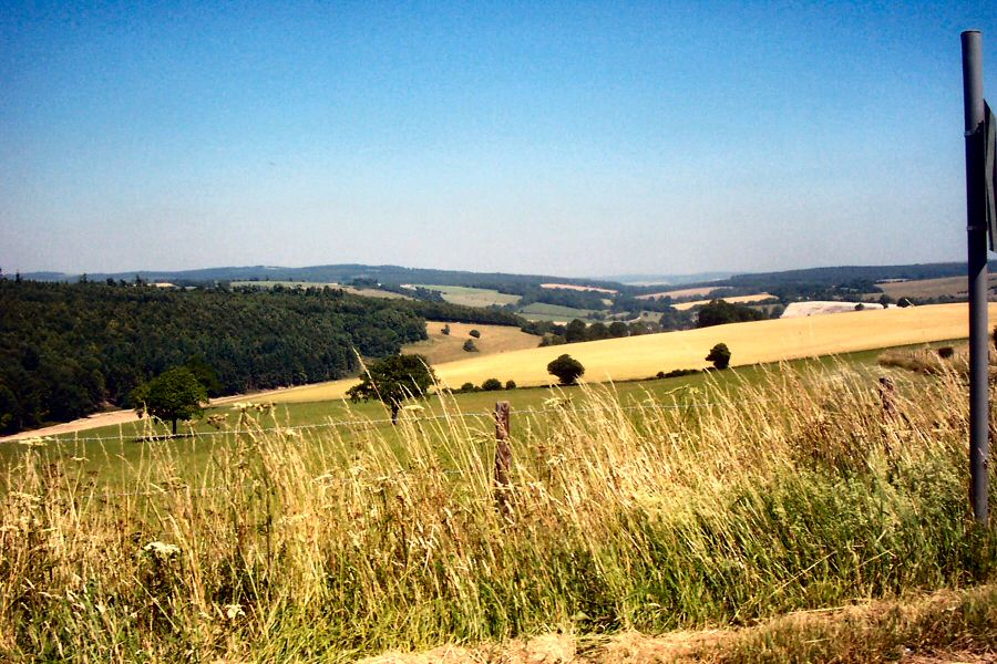 Rolling Sussex Fields