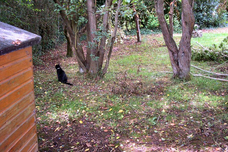 and Cora the indignant