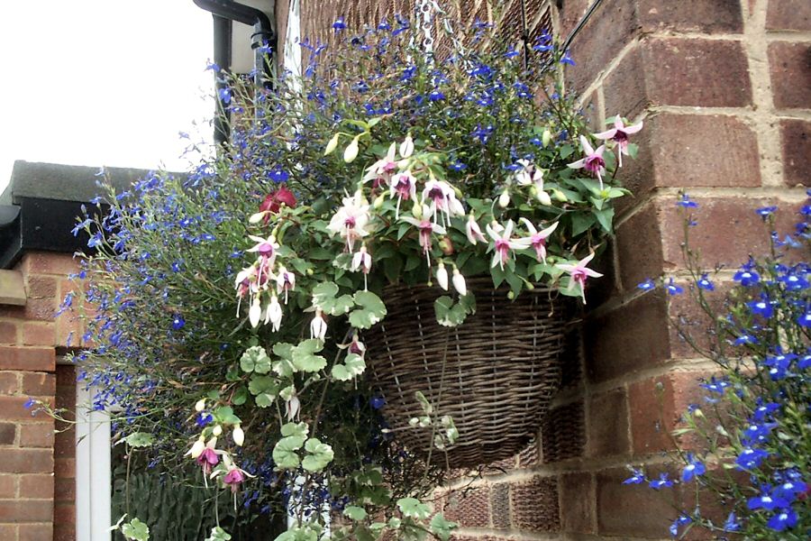 Front Hanging Basket