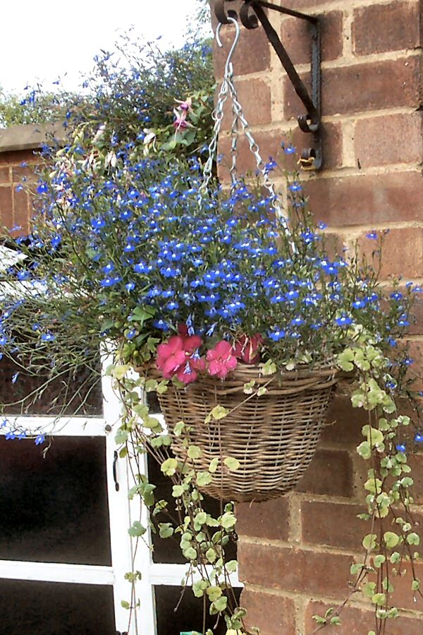 Front Hanging Basket