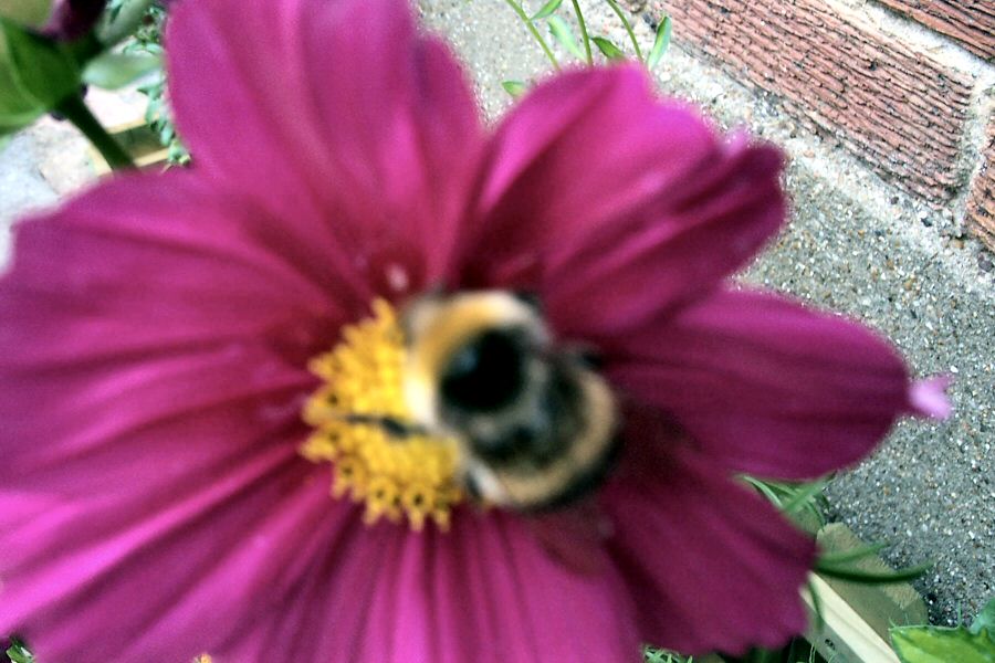 Wall perfectly focused again