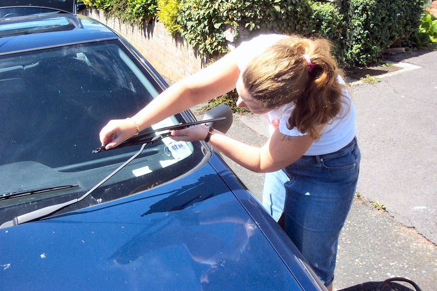 Won't be needing these today