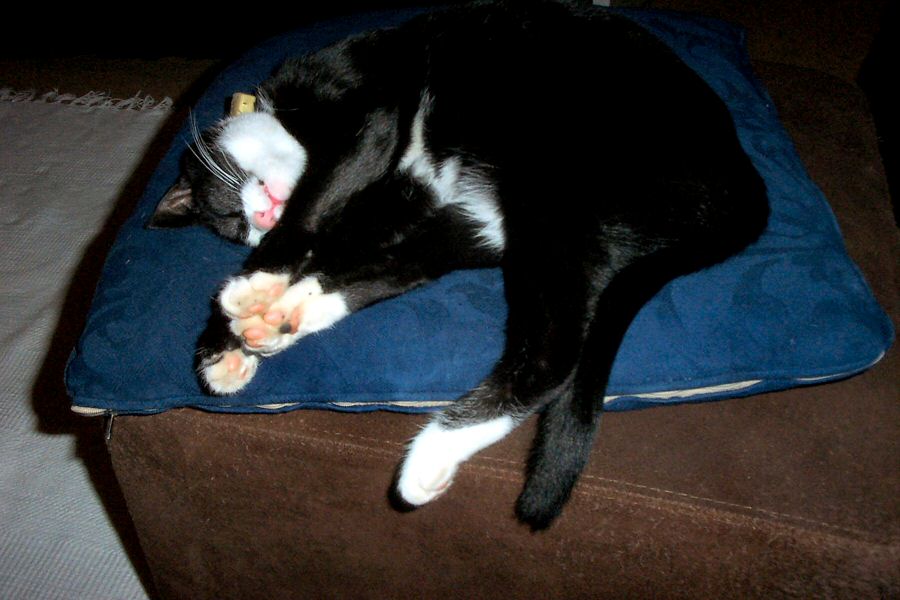 It was all too much for Carrie