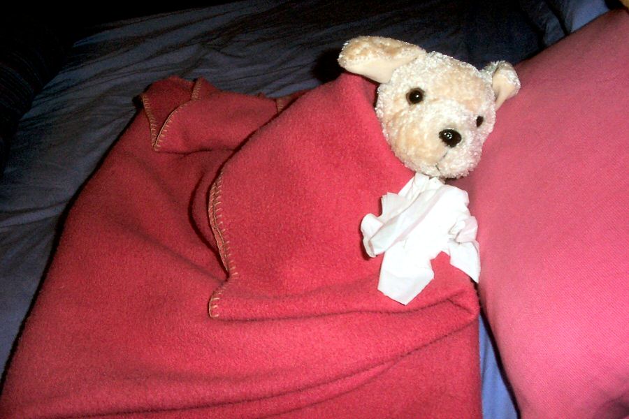 And Raowlf.com caught a cold